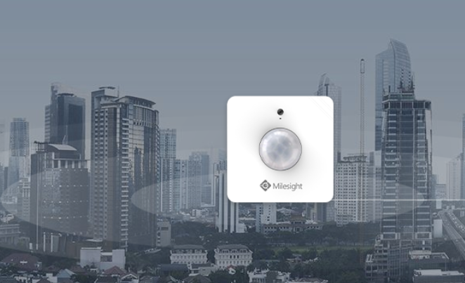 WS202 Light Detection 2